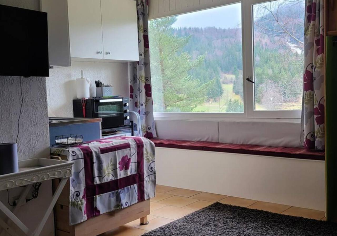 Agreable Et Lumineux * Villard-de-Lans